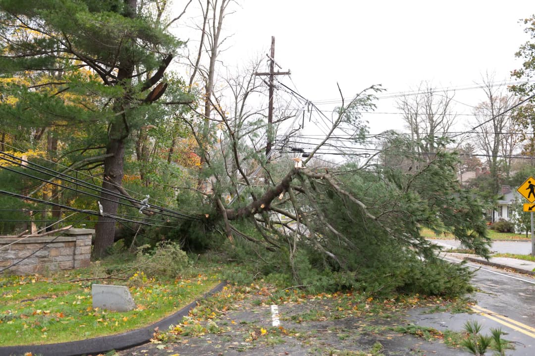Storm Damage Cleanup