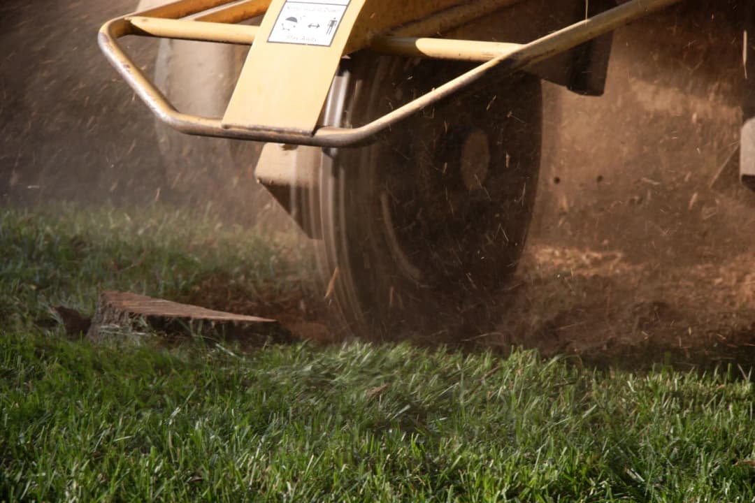 Stump Grinding & Removal